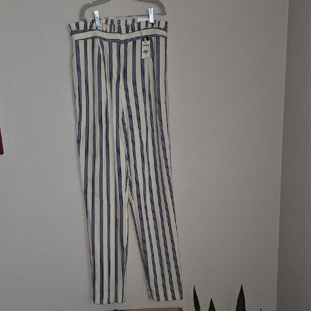 Express Blue and White Chinos with Relaxed Fit